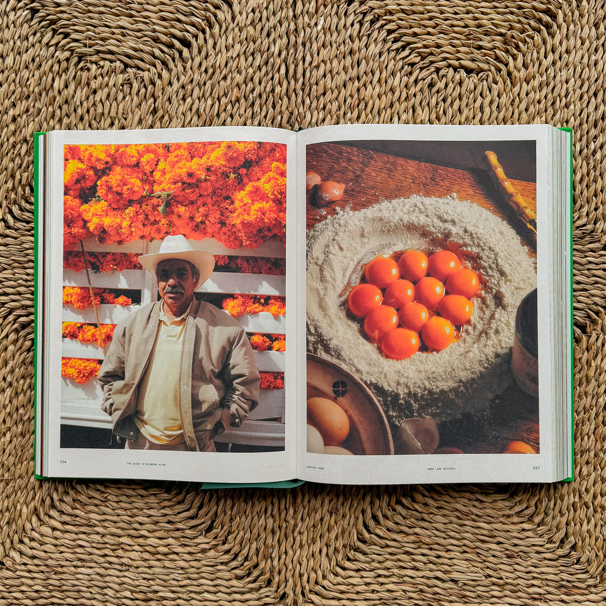 Flamingo Estate :The Guide to Becoming Alive