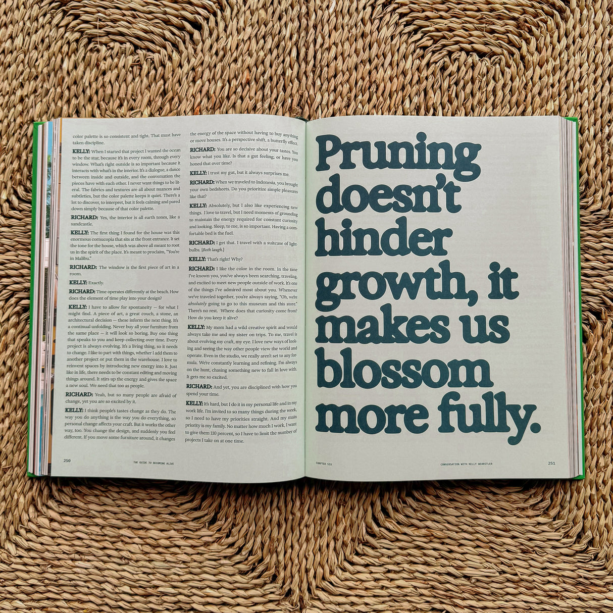 Flamingo Estate :The Guide to Becoming Alive