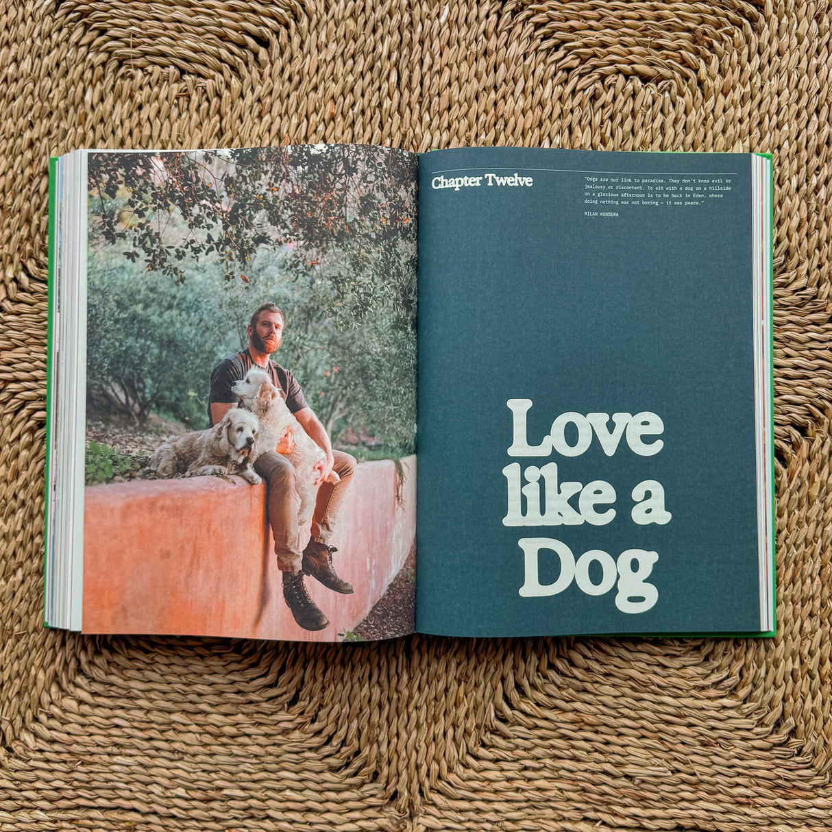 Flamingo Estate :The Guide to Becoming Alive