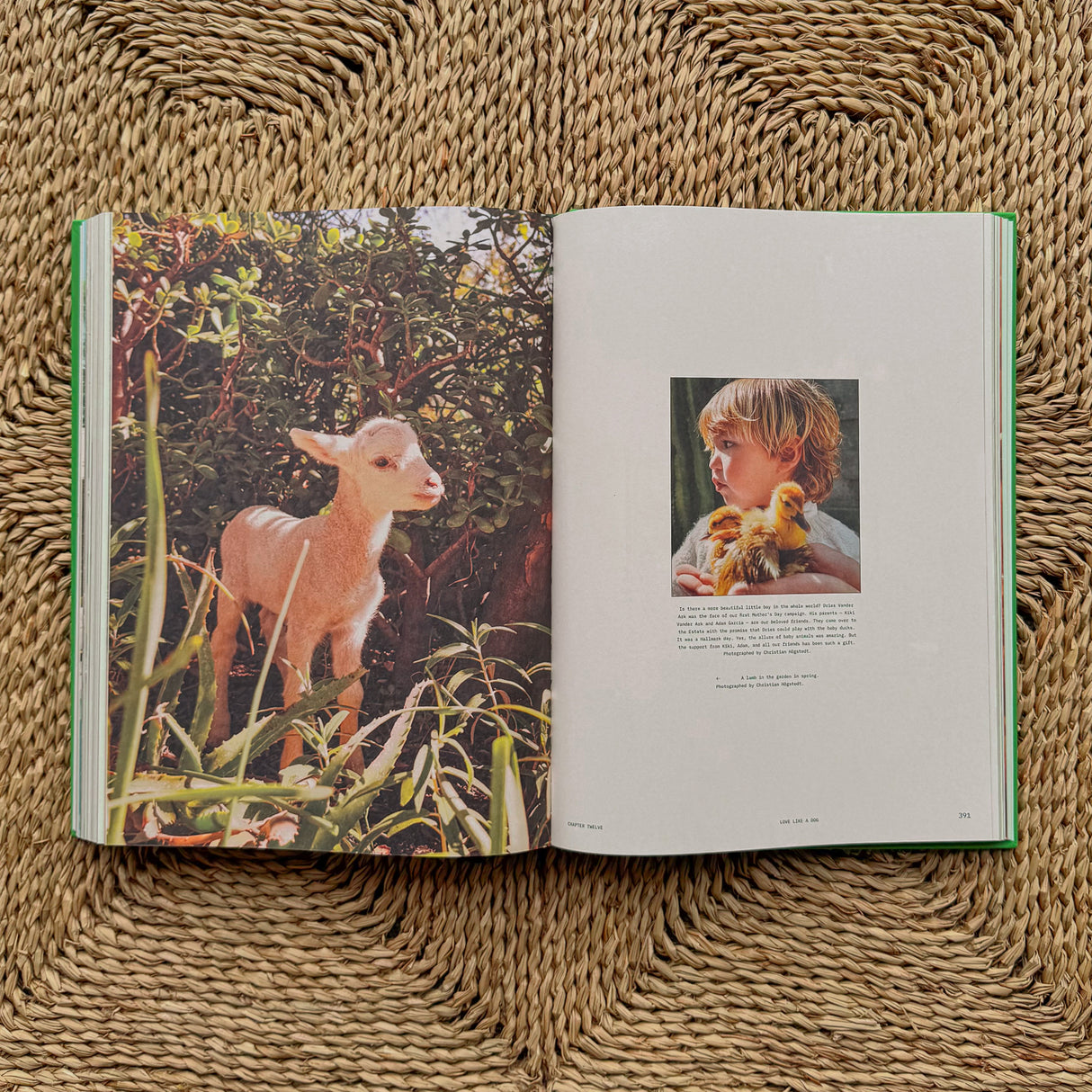 Flamingo Estate :The Guide to Becoming Alive