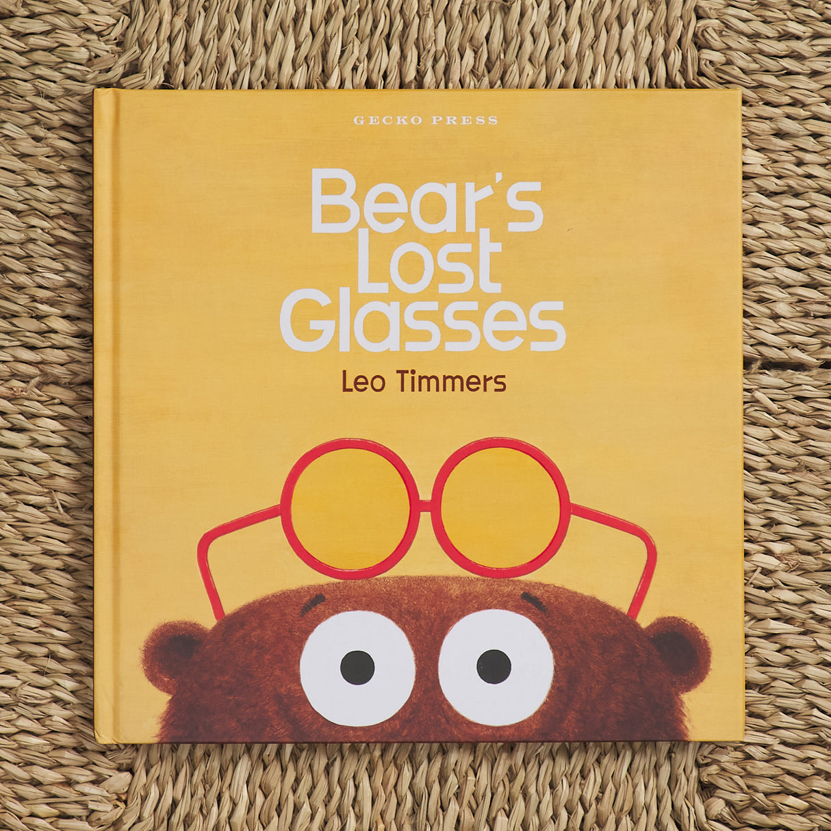 Bear's Lost Glasses