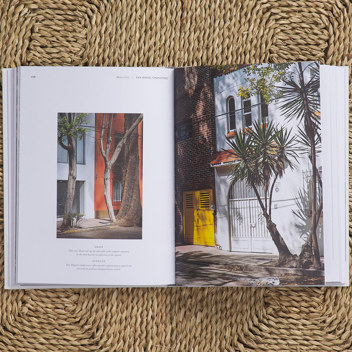 Mexico City: The Extraordinary Guide
