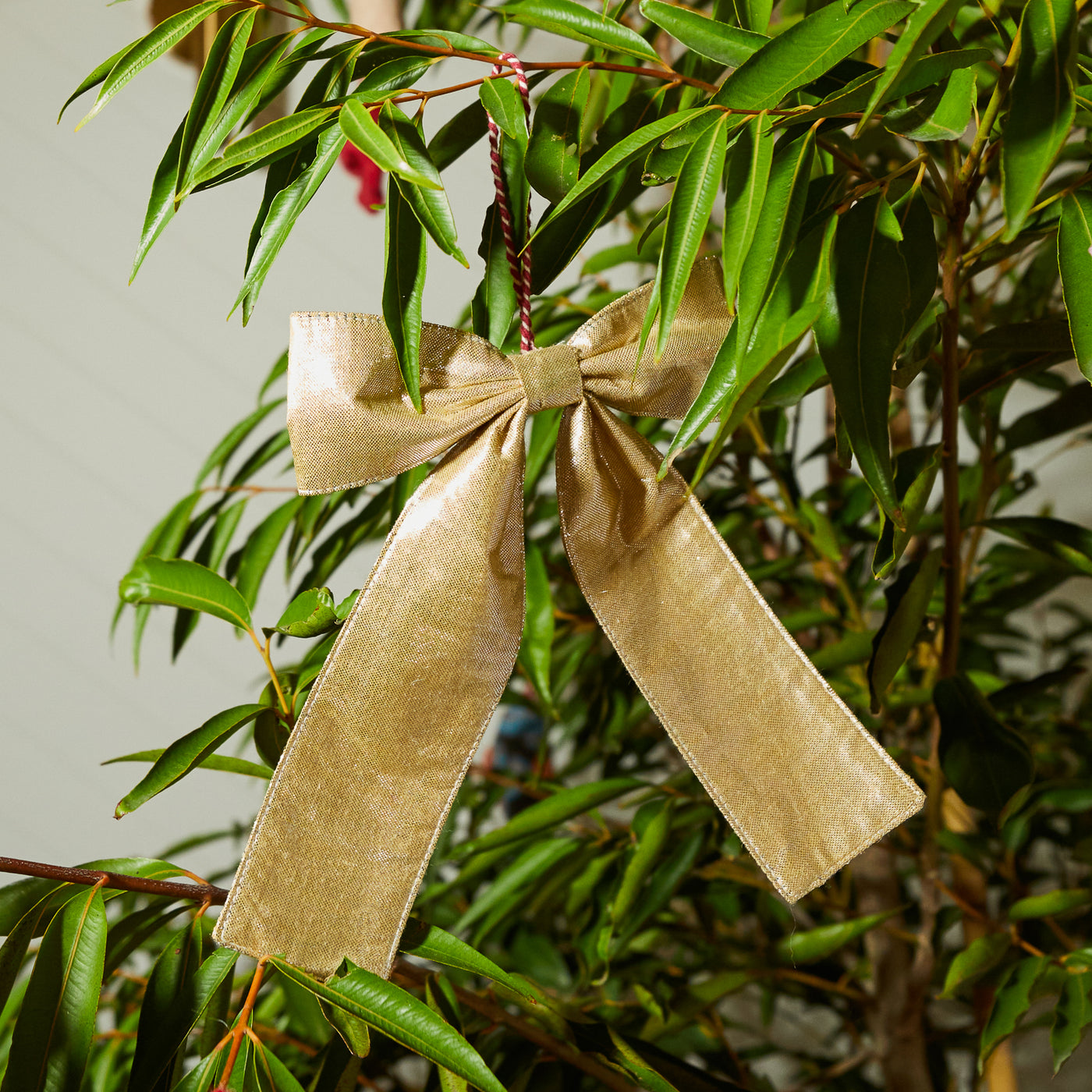 Bakra Bow Decoration