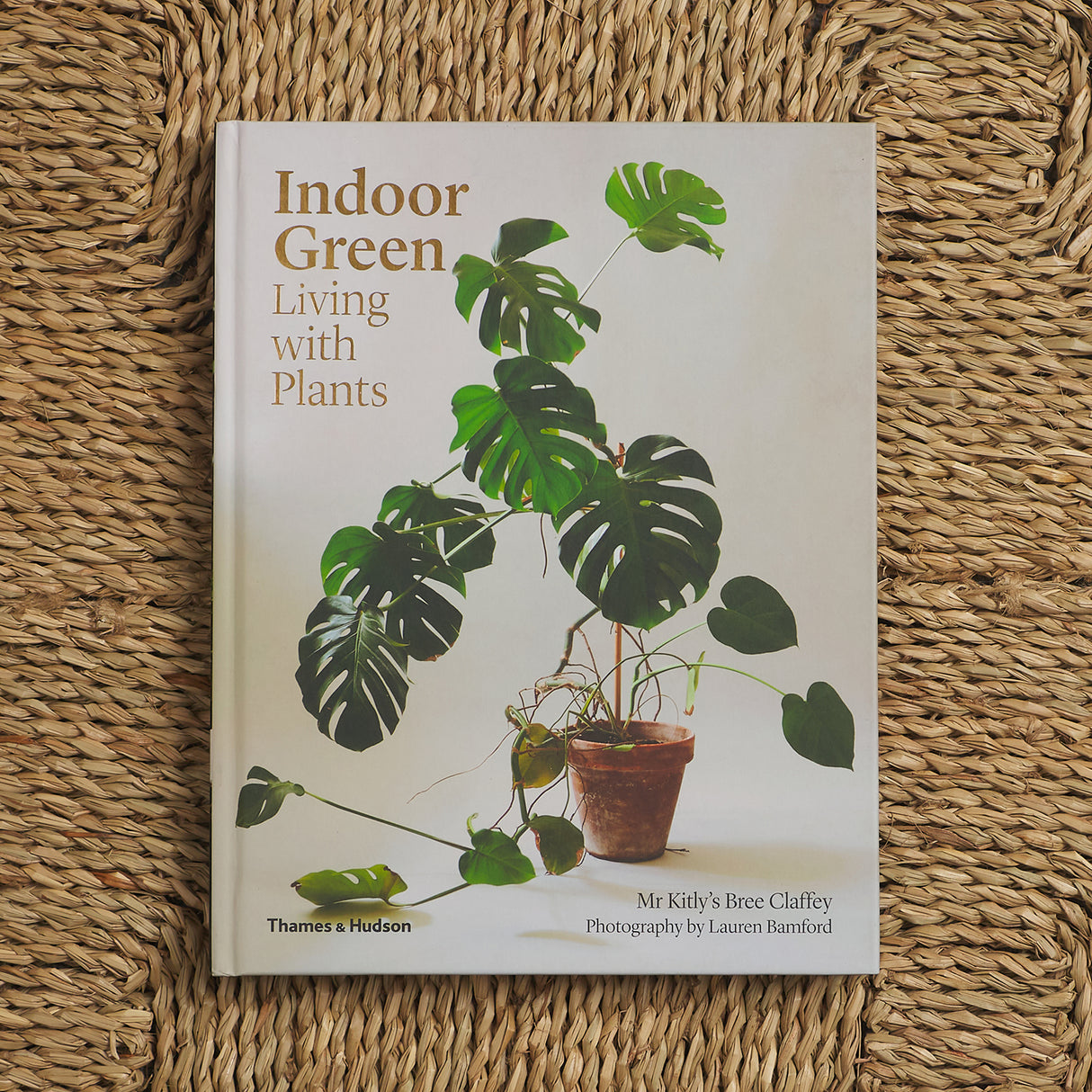 Indoor Green: Living with Plants