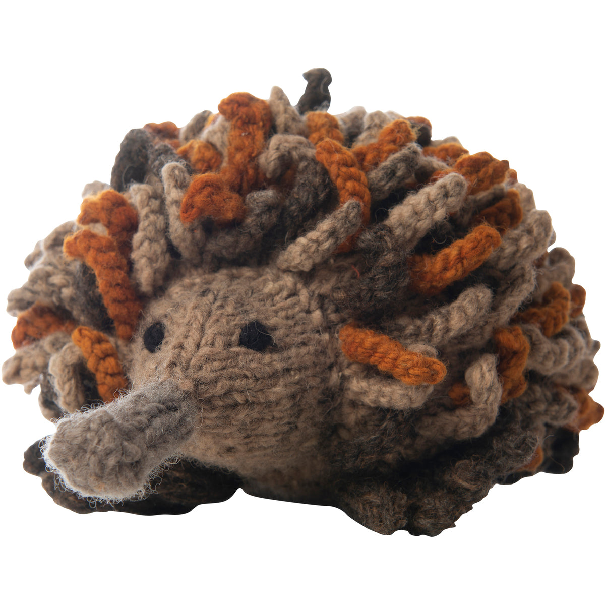 Wool Bundu Echidna