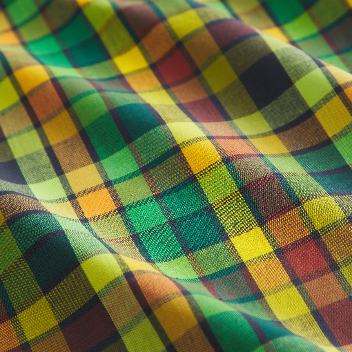 Stela Cotton Euro Pillowcase Set - Spring Green