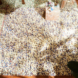 Lazlo Tufted Rug - Thistle
