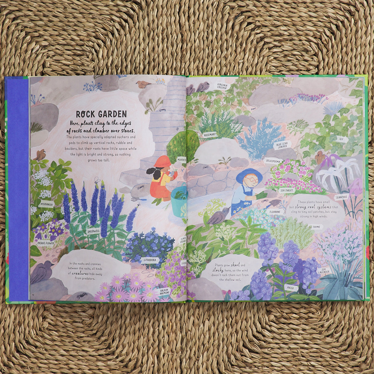 How to Grow a Garden