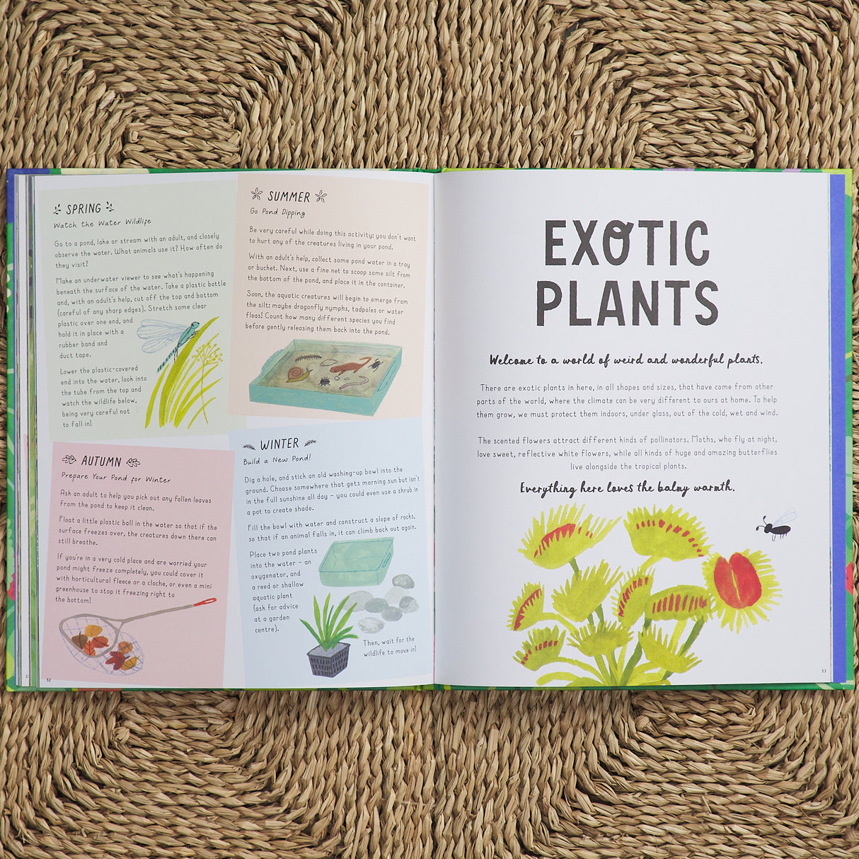 How to Grow a Garden