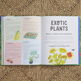 How to Grow a Garden