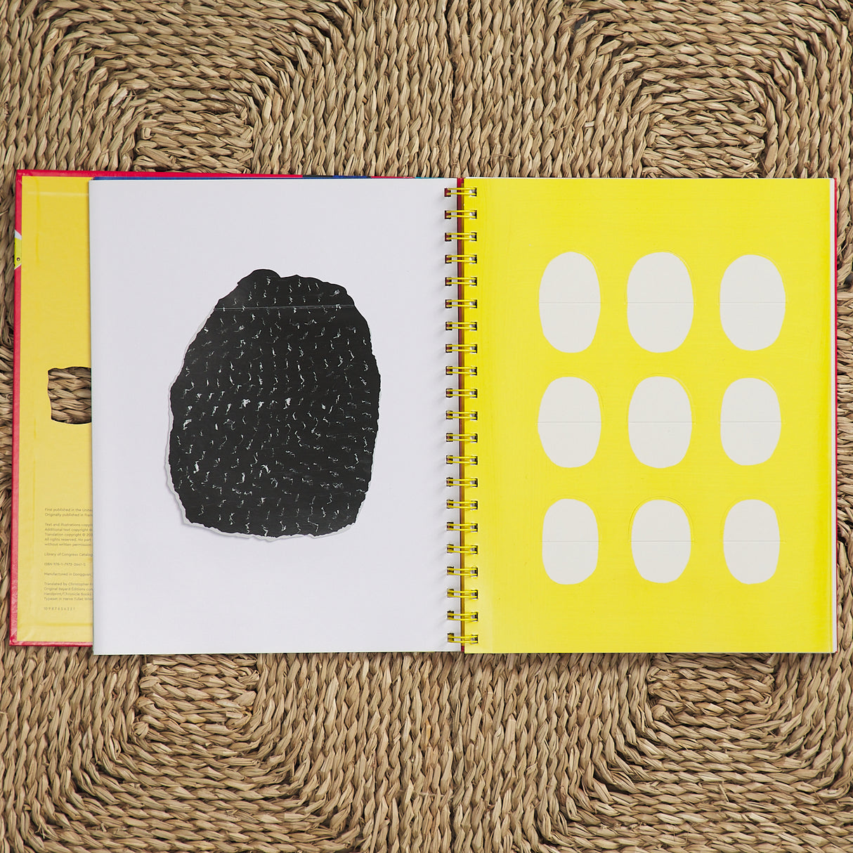 Museum in a Book