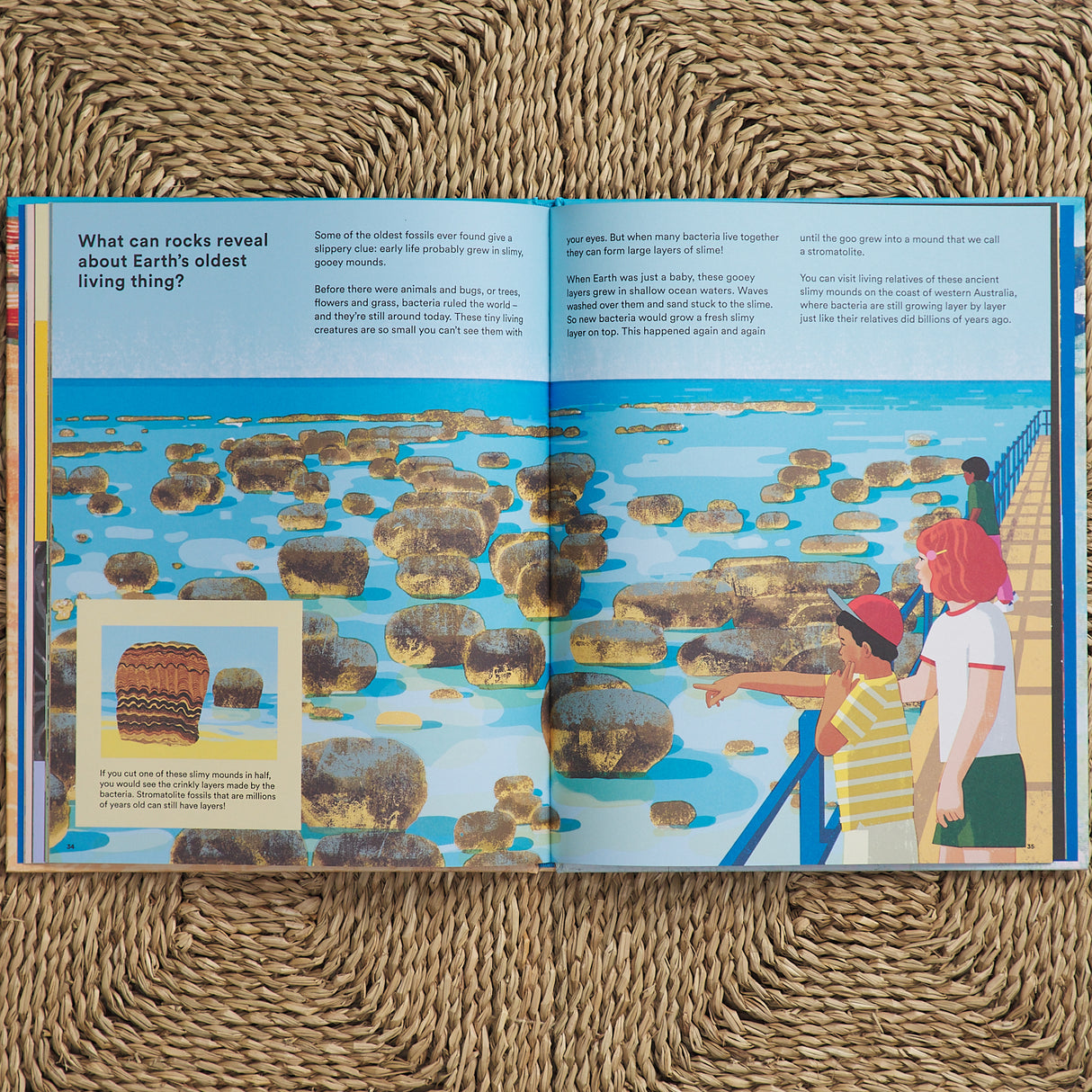 What a Rock Can Reveal