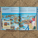 What a Rock Can Reveal