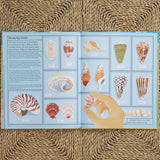 What a Shell Can Tell