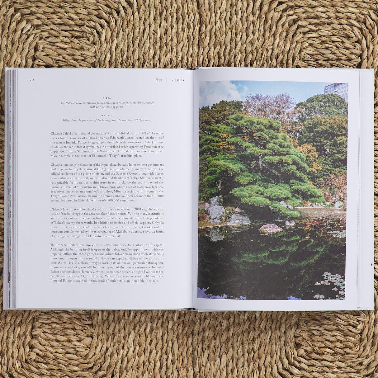 Tokyo: The Extraordinary Guide