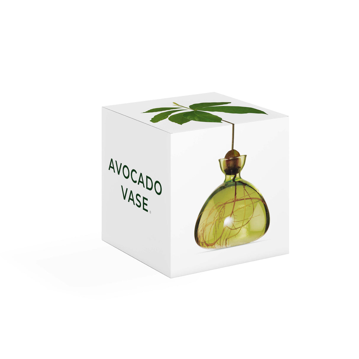 Avocado Vase - Grass Green