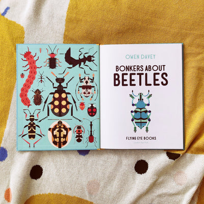 bonkers about beetles owen davey
