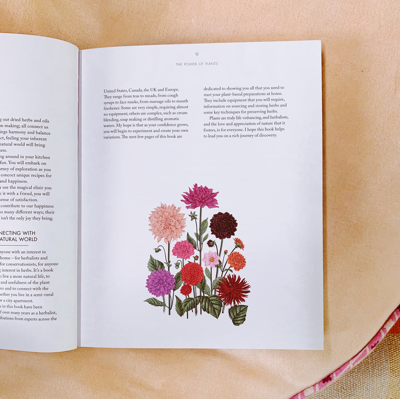 The Health and Beauty Botanical Handbook - Sage x Clare