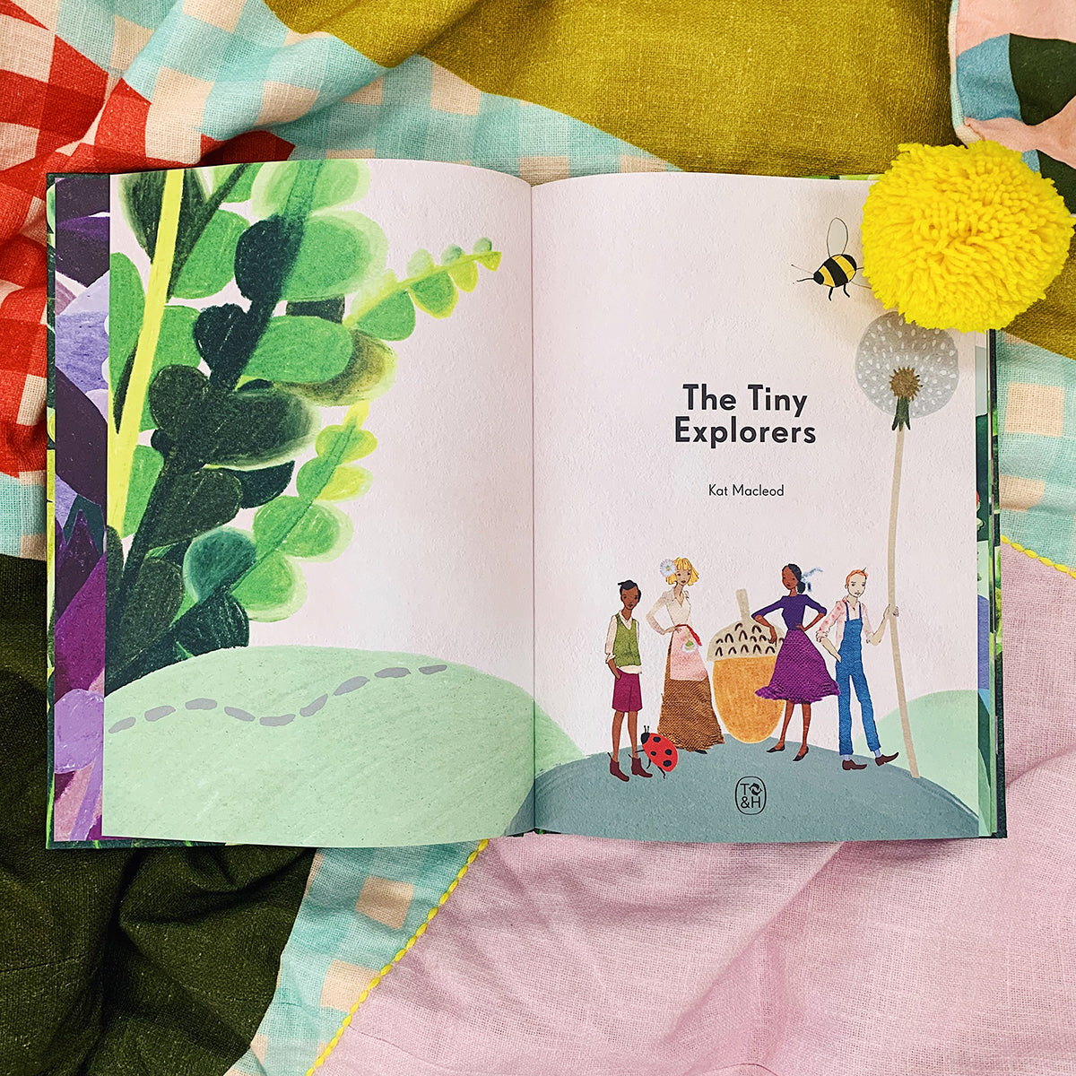 The Tiny Explorers book by Kat Macleod